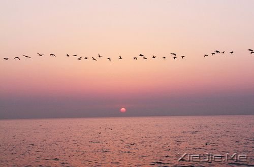 晚安心语:人生,就是一种简单的轨迹 (8)