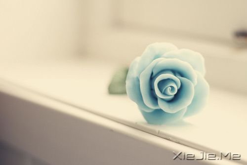 早安心语:若无其事,原来是最好的报复 (10)