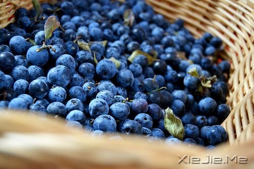 ��������㲻���ҵĳ�Ĭ������ô�ᶮ�ҵ��ѹ� (2)