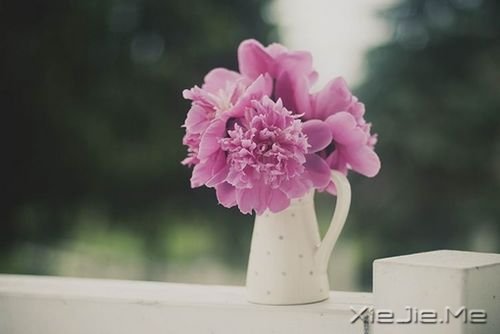 晚安心语:你不勇敢,没人替你坚强 (3)