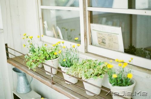 晚安心语:拥有的越少,就越懂得去珍惜 (4)