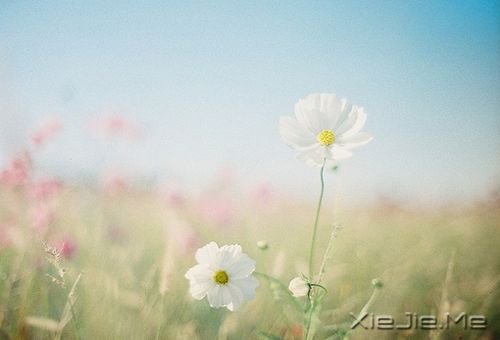 �簲����ɹ����ٶ�һ��Ҫ������ĸ��ȥ���ٶ� (5)