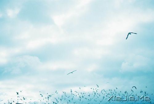 早安心语:自己的笑容才是最美的风景 (2)