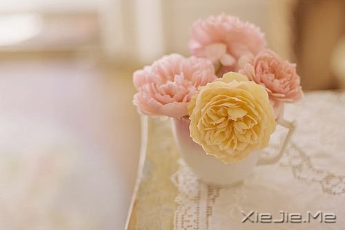 早安心语:选一种姿态,让自己活得无可替代 (9)