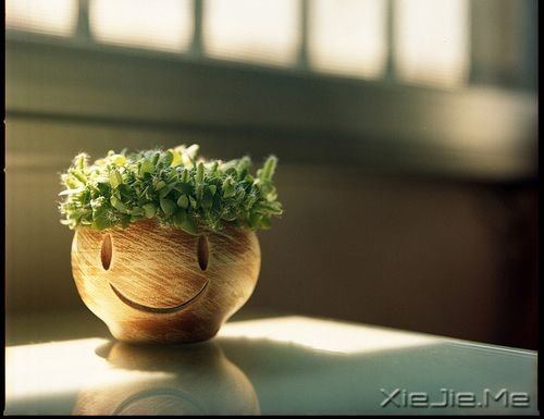 早安心语:像淑女一样处事,像爷们儿一样思考 (5)