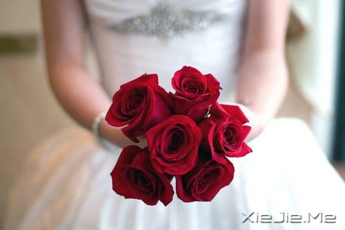 早安心语:坚持住你的坚持,成功就在拐弯处 (3)