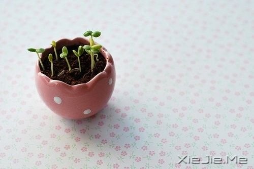 晚安心语:做最坏打算,持最好心态 (3)