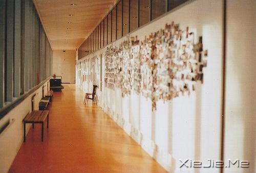 ��������Щ������ �����ĵĸ�� (1)