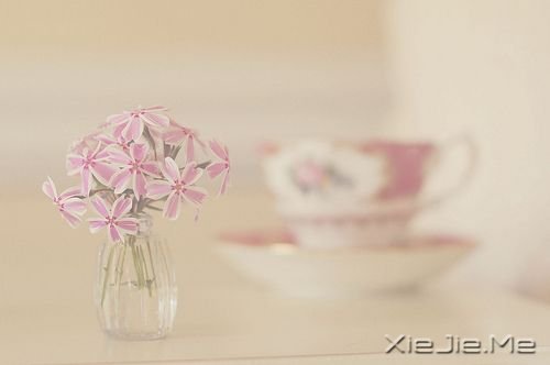 С����ͼƬ (6)