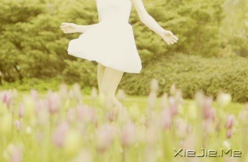 С����ͼƬ (1)