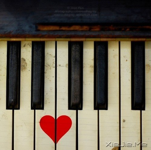 �ڰ��ټ��ϵİ���