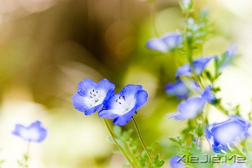 经典语录:与其埋怨世界,不如改变自己 (4)