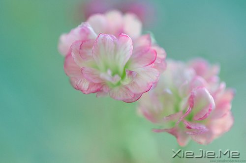 20~30岁,我拿十年做什么