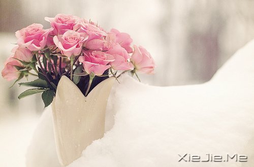 ��û��˵��