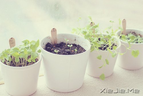 ˵˵��Сʱ���������