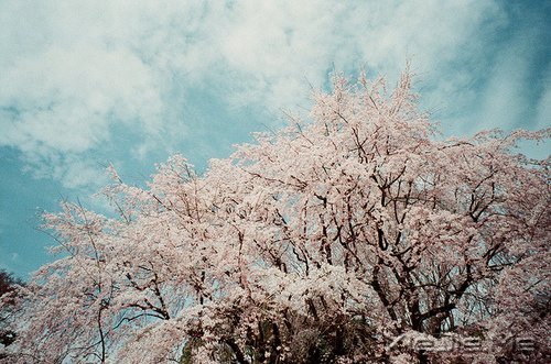 ���������ģ������ǻ� (3)