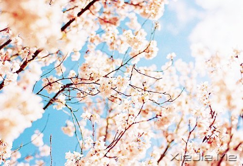 2014,用12个月来改变自己 (4)