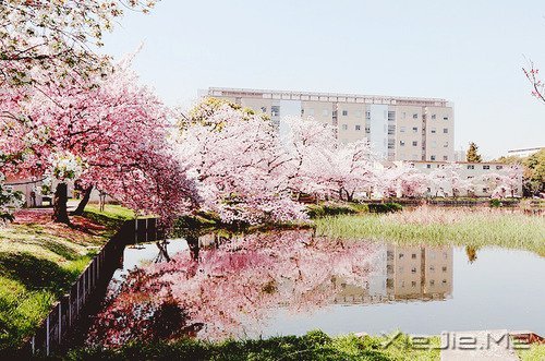 马年和自己的10个约定 (2)