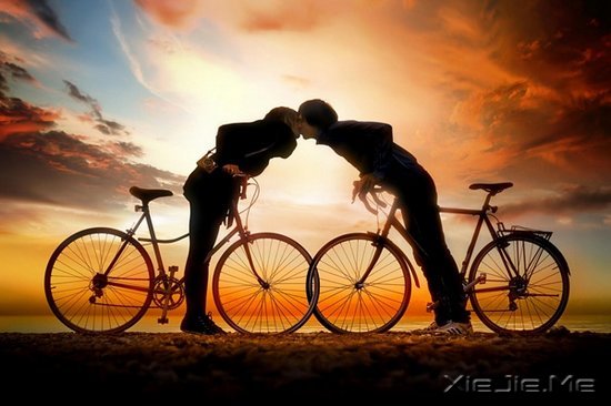 2013中国情爱报告