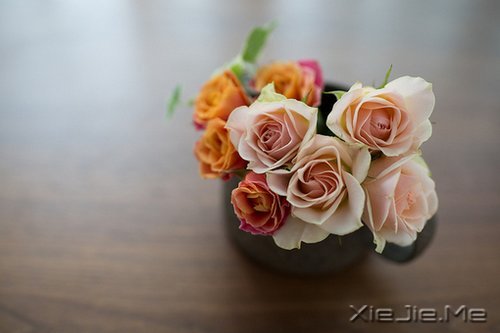 д�˽����ʣ�������һ�� (3)