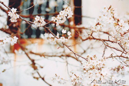 д�˽����ʣ�������һ�� (6)