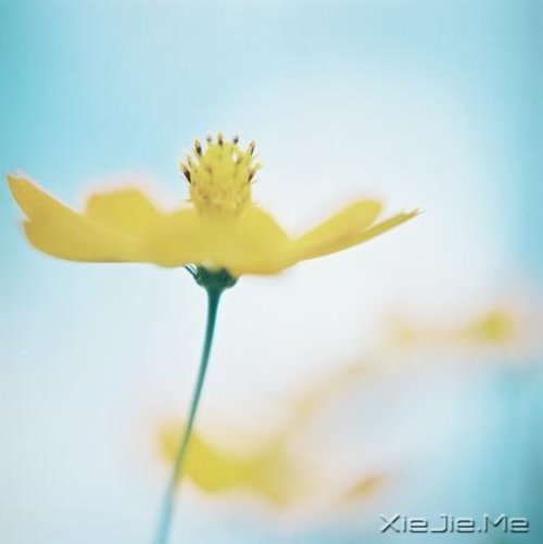 生活的九大智慧 (2)