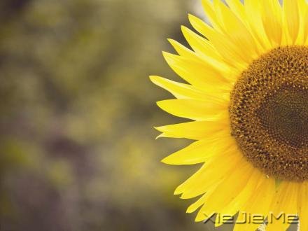 ������¼��������磬������������ (6)