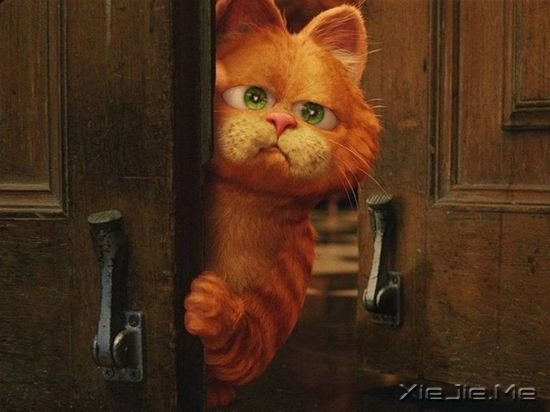 ����è���9�������Ӱ�Ƽ� (2)