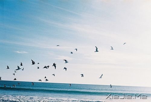 励志文章:拥有梦想的人不做选择题,他们只做证明题