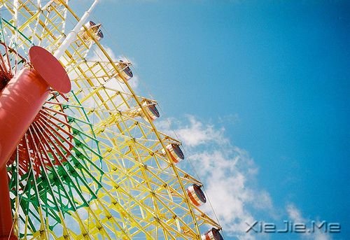 卢思浩:时间就该浪费在美好的事物上