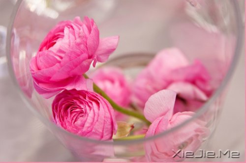 ������¼��ֻҪ�ʺ��Լ��������Ҹ� (7)