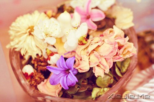 ������¼��ֻҪ�ʺ��Լ��������Ҹ� (8)