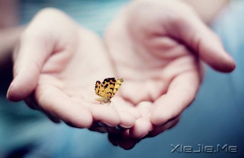 ���֣����������������껪�˴����� (5)