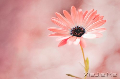 ��ϧ�����ߣ�����ʵ������