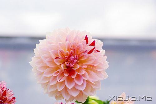 ��Щ�����ŵĲ������ȵ��Ҹ�