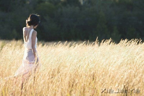 ��ס���֣������ס���� (5)