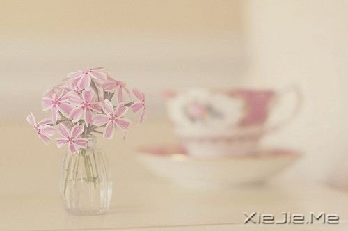 ��������Щ�򵥵�С�Ҹ� (2)